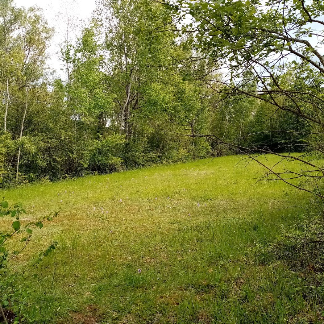 Parc de Livry 2